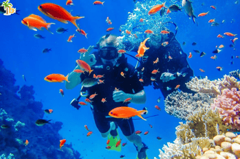 Scuba Diving With Water Sports Combo At Paradise Beach